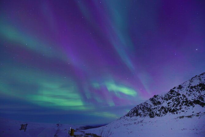 Heated and Enclosed ATV Tour in Alaska. Open All Year Round - The Equipment: Modern, Comfortable, and Easy to Use