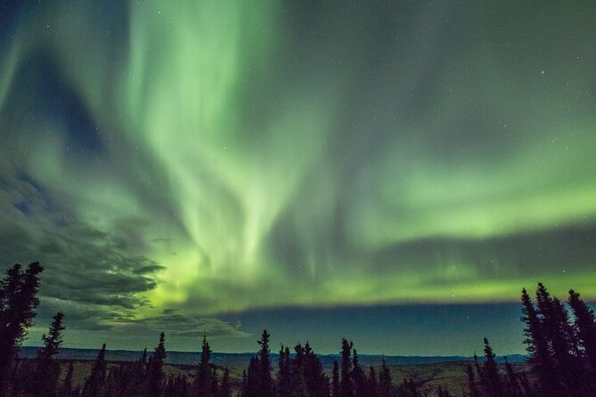 Heated and Enclosed ATV Tour in Alaska. Open All Year Round - Customer Satisfaction and Testimonials