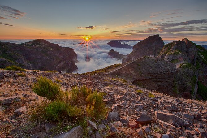 Heavens Tour: Sunrise, Sunset, or Stargazing in Madeira - Why Choose the Heavens Tour in Madeira?