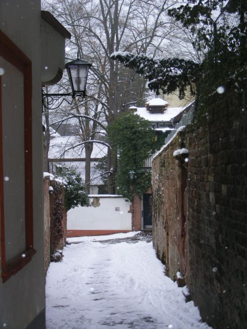 Heidelberg: 2-Hour Crime Tour with Costumed Guide - Accessibility and Group Size