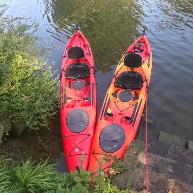 Heidelberg: 2-Hour Kayak Tour - What to Bring and Wear for the Kayaking Tour