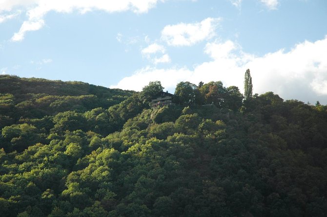 Heidelberg and Rhine Valley Day Trip With Wine Tasting and Dinner from Frankfurt - Rhine Region Wine Tasting and Dinner Experience