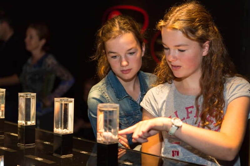 Heidelberg: BODY WORLDS Museum Entry Ticket - Discover the Unique Experience at Heidelberg’s BODY WORLDS Museum