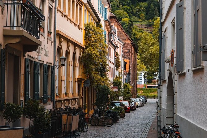 Heidelberg Castle and City Day Tour from Frankfurt - Price and Value for Money