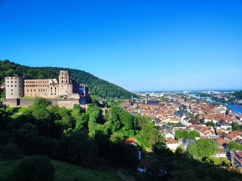 Heidelberg Castle - The Highlights in 1 h EXPRESS TOUR - The Guide: Heidelberg’s Longtime Resident