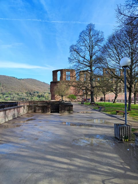 Heidelberg Castle - The Highlights in 1 h EXPRESS TOUR - Comparing to Other Heidelberg Tours