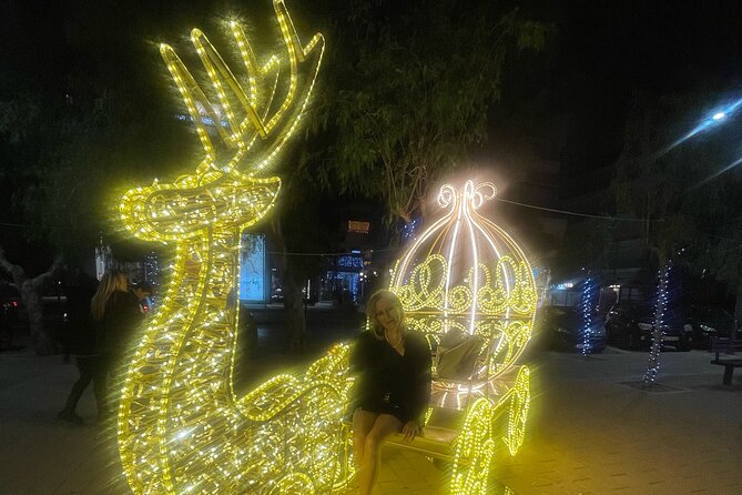 Heidelberg City Tour and Castle Tour combined - The Old Bridge and Its Fairy Tale Stories