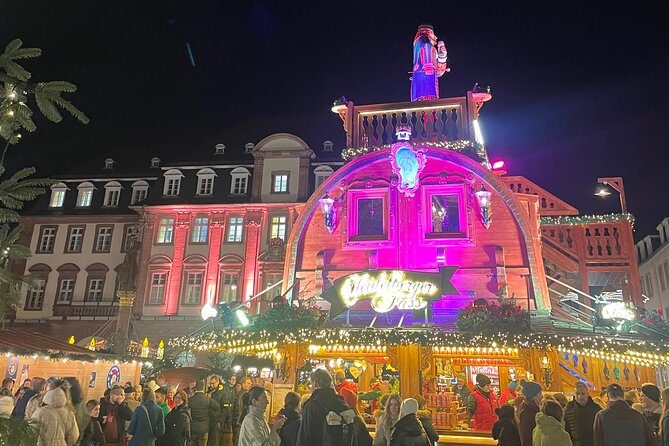 Heidelberg City Tour and Castle Tour combined - Logistics and Accessibility of the Tour