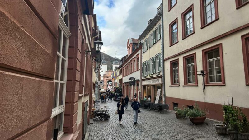 Heidelberg: Experience our history 1.5-hour walking tour through the old town - Key Points