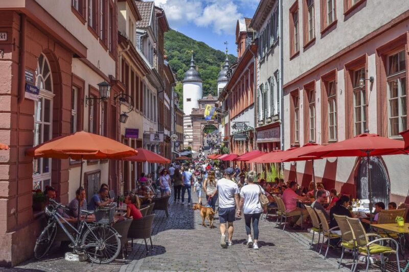 Heidelberg: Old Town Tour Including Castle Visit - Starting Point at the Lion Fountain in Heidelberg Old Town
