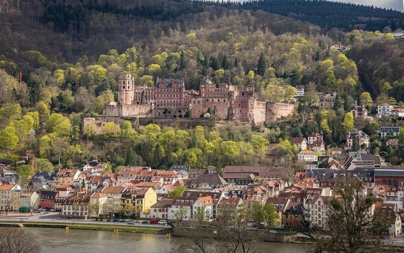 Heidelberg: Private Day Trip with Castle, Cruise & Beer - Indulging in Heidelberg’s Culinary Scene and Local Beers