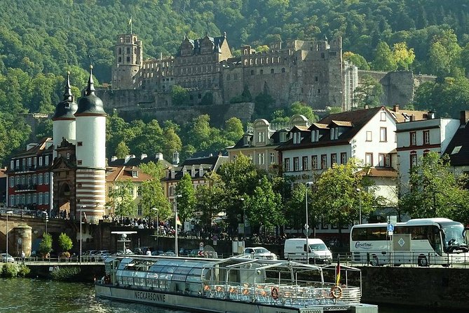 Heidelberg Private Walking Tour With A Professional Guide - Key Points