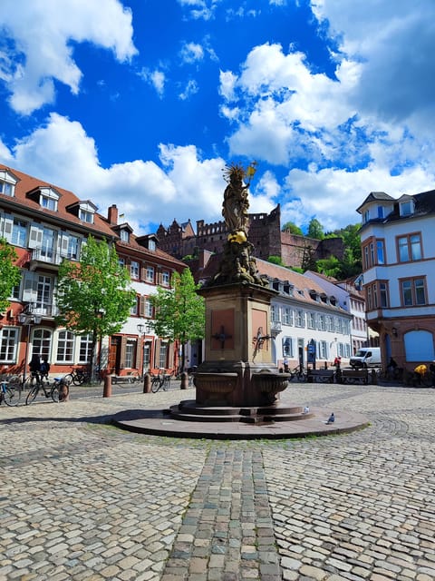Heidelberg: Private Walking Tour with Local Guide - Key Points