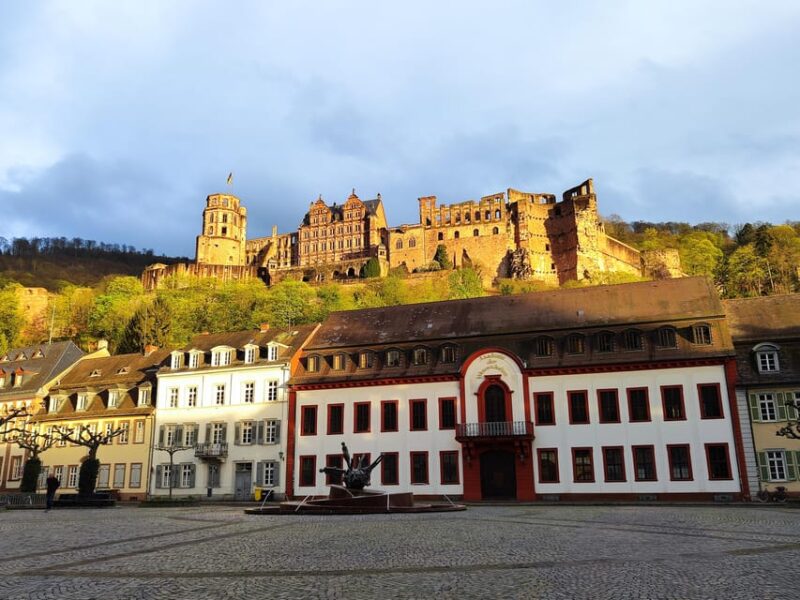 Heidelberg: Private Walking Tour with Local Guide - Exploring Heidelberg’s Historic Streets and Key Sites