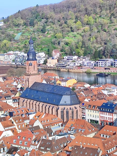 Heidelberg: Private Walking Tour with Local Guide - Final Thoughts on the Heidelberg Private Walking Tour