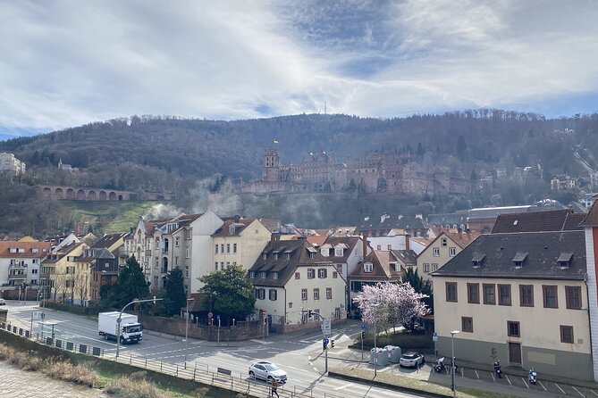 Heidelberg Secrets Quest: Self-Guided Old Town Adventure - The Old Bridge and the Bridge Monkey Landmark