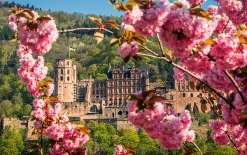 Heidelberg: Sightseeing Bus and Castle Tour - Heidelberg: Sightseeing Bus and Castle Tour Overview