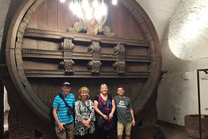 Heidelberg Tour with winetasting. - Wine Tasting in Heidelberg’s Castle Cellar