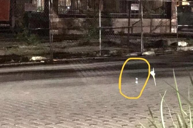 Helen Haunts, Murder, Mystery Tour With Paranormal Investigation - Value for Money and Booking Flexibility