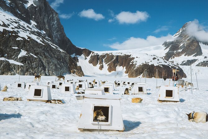 Helicopter To a Dogsledding Experience - Cost and Value for Money