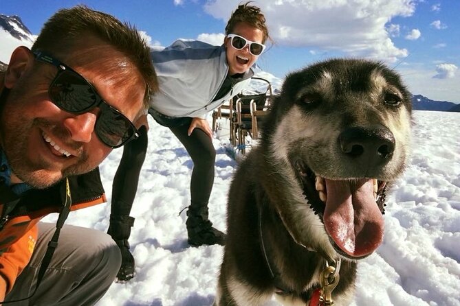 Helicopter To a Dogsledding Experience - Final Thoughts: Who Should Book This Tour?