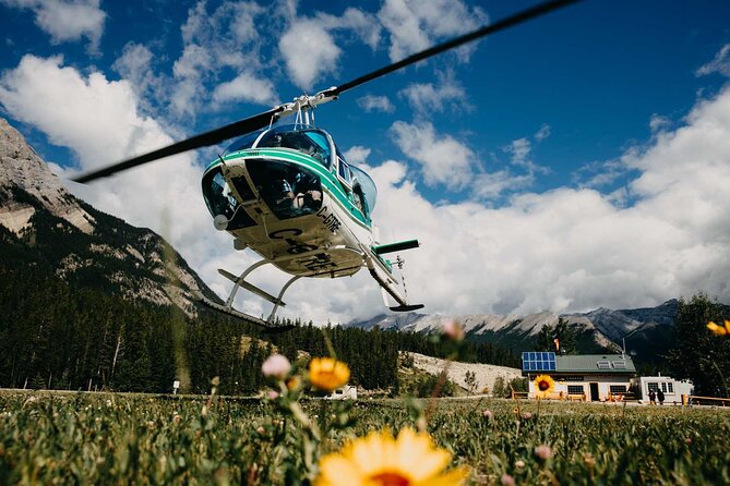 Helicopter Tour over the Canadian Rockies - The Canadian Rockies from the Sky: What Sets This Tour Apart