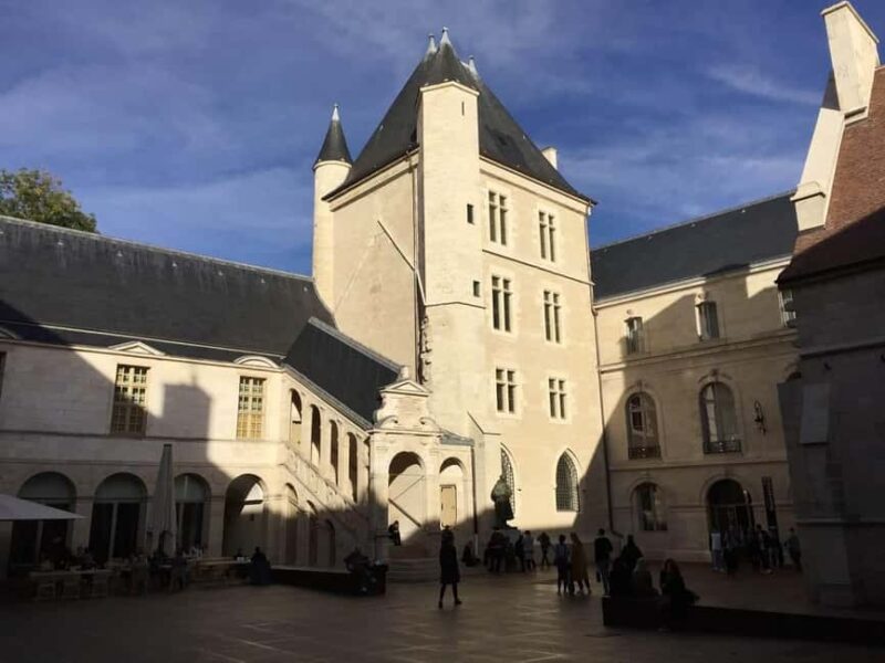 Hello Dijon: Private 2-Hour Intro City Walk with Local Guide - Suitability and Accessibility