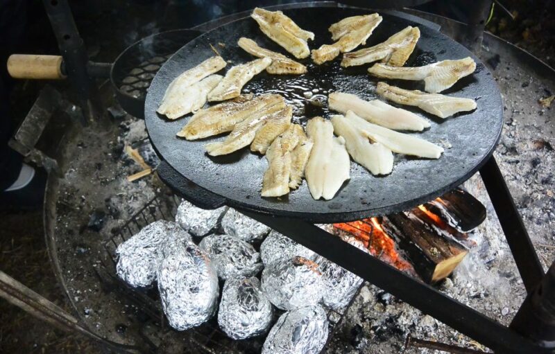 Helsinki: Arctic Hovercraft Experience with Lunch - Limitations and Practical Tips