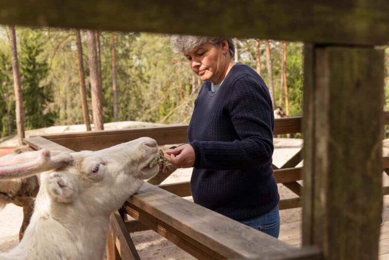 Helsinki: Buggy Ride, Reindeer Farm Visit, and Picnic - Logistics and Comfort in a Private Group Setting