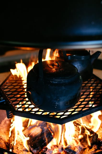 Helsinki: Guided Nature Experience with Campfire and Meal - Comparing Similar Experiences Near Helsinki