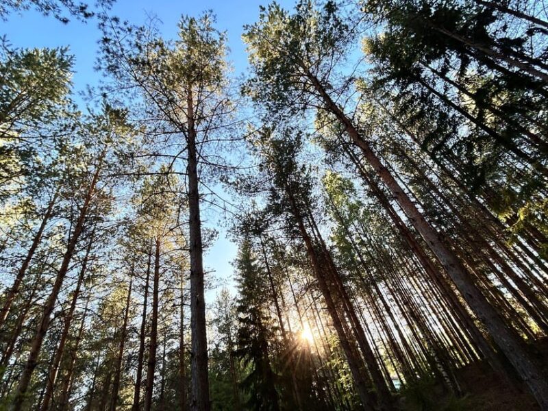 Helsinki: Guided Nature Experience with Campfire and Meal - Who Will Value This Tour Most?