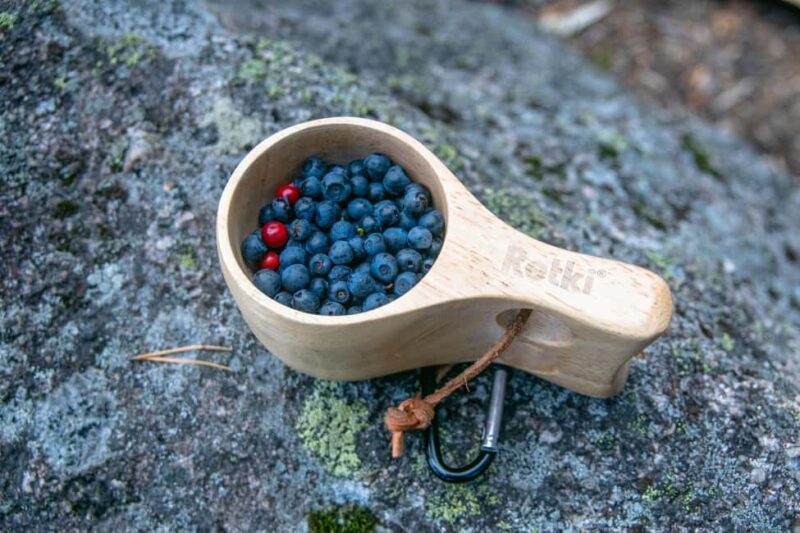 Helsinki: Nuuksio National park hiking with campfire lunch - The Overall Value of the Tour