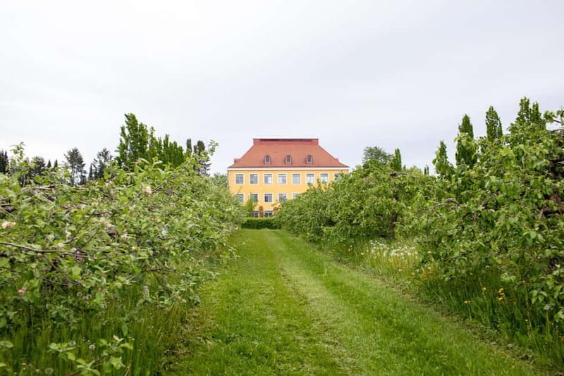 Helsinki: Private Visit to Finnish Berry Winery with Tasting - Scenic Drive to Finland’s Countryside Winery