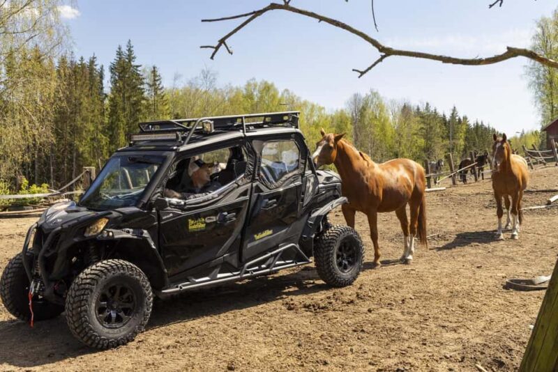 Helsinki: Reindeer Park and Horse Stable Private Tour - Visiting the Reindeer Park: Majestic Animals and Sami Culture