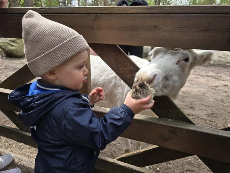 Helsinki: Reindeer Park and Horse Stable Private Tour - Comparing This Tour to Other Helsinki Experiences