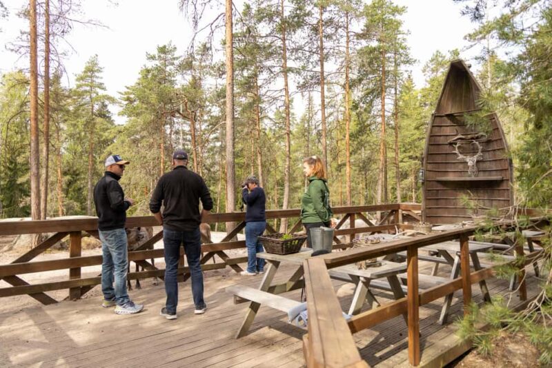 Helsinki: Reindeer Park visit and Buggy Adventure - Finnish Campfire Cooking in the Forest