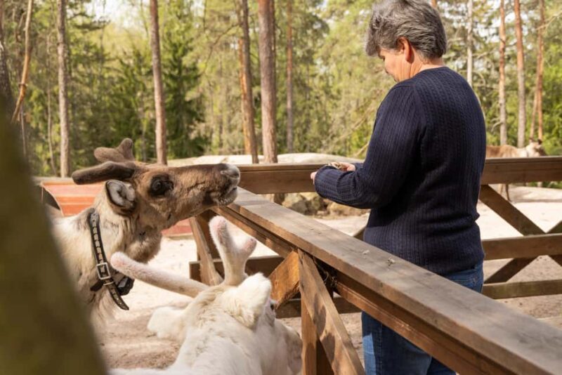 Helsinki: Reindeer Park visit and Buggy Adventure - Flexibility and Accessibility of the Tour