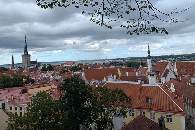 Helsinki to Tallinn Guided Tour with return Cruise tickets - Pricing and Booking in Advance