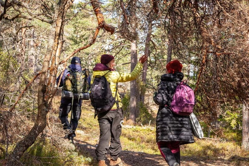 Helsinki: Uutela Guided Nature Hike with Snack - Wildlife Watching and Bird Spotting Opportunities