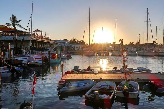 Hemingway Food and Walking Tour - Inside Hemingway’s Historic Residence and Its Surroundings