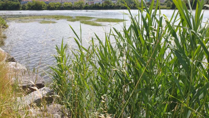 Hendaye/Irun 6 km - Starting Point and Accessibility in Béhobie