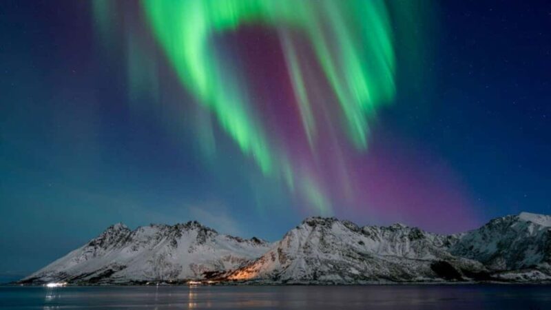 Henningsvær: Northern Lights Tour with Photographer - Discover the Magic of the Northern Lights in Henningsvær for $191