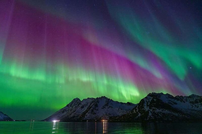 Henningsvær: Northern Lights Tour with Photographer - Key Points