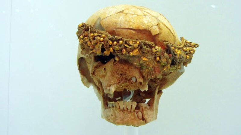 Heraklion Archaeological Museum Ticket & Audio Guide - Practical Details for Your Visit