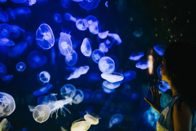 Heraklion Area: CRETAquarium Admission Ticket - Reviews and Visitor Feedback Highlights