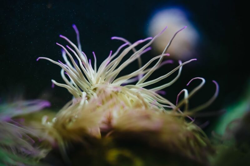 Heraklion Area: CRETAquarium Admission Ticket - Final Thoughts on the Cretaquarium Tour