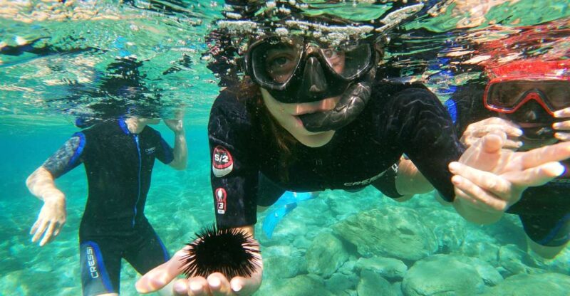 Heraklion: Beginner-Friendly Snorkeling Trip - What the Snorkeling Experience Includes