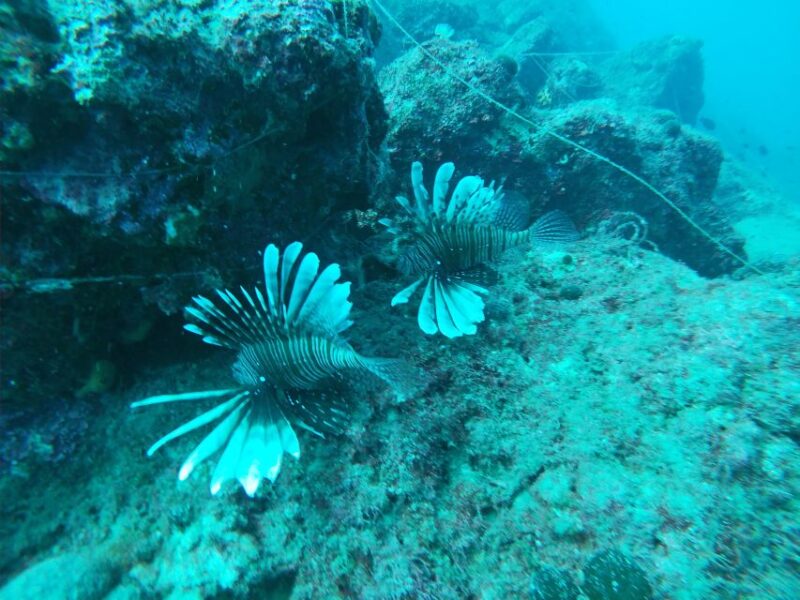 Heraklion: Beginner-Friendly Snorkeling Trip - Pricing, Cancellation, and Booking Flexibility