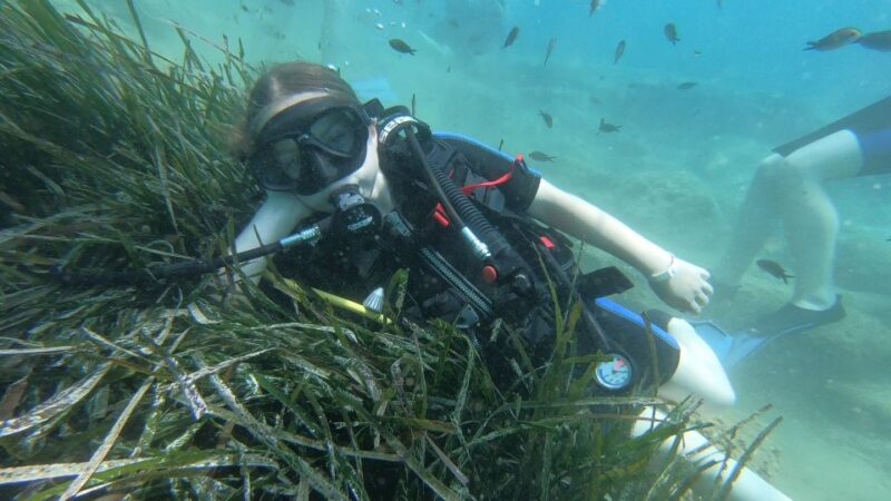 Heraklion: Beginner Scuba Diving Lesson with PADI Instructor - The Value: High-Quality Dive Experience at an Attractive Price