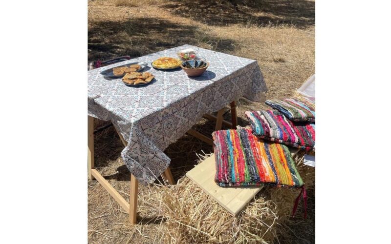 Heraklion: Cretan Farmers Brunch and Olive Grove Tour - Key Points